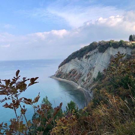 Apartment Modrin Piran Dış mekan fotoğraf
