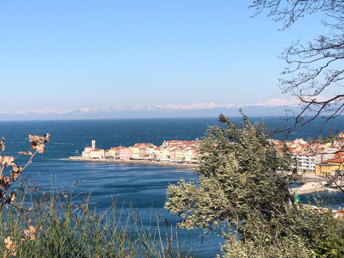 Apartment Modrin Piran Dış mekan fotoğraf