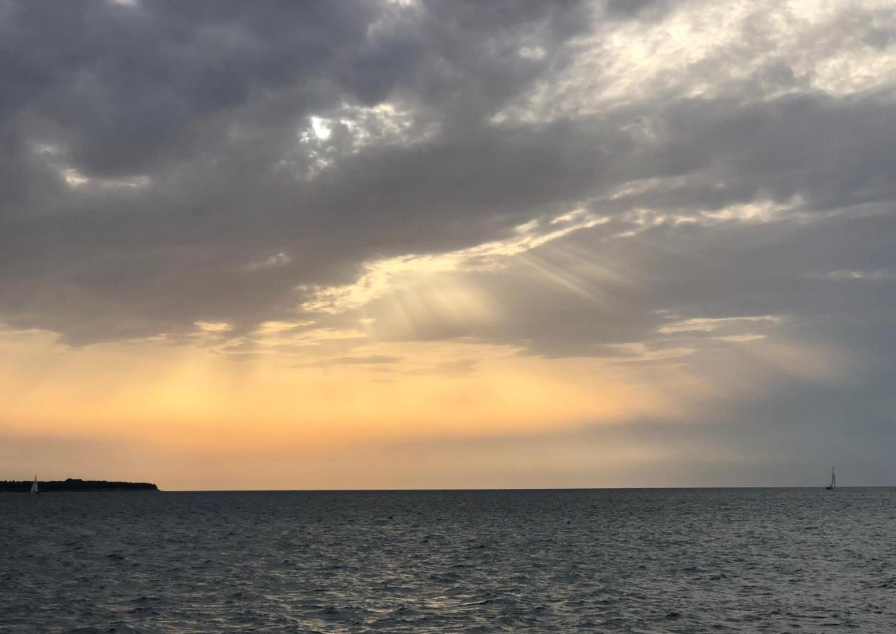 Apartment Modrin Piran Dış mekan fotoğraf