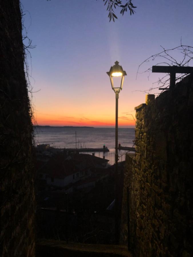 Apartment Modrin Piran Dış mekan fotoğraf