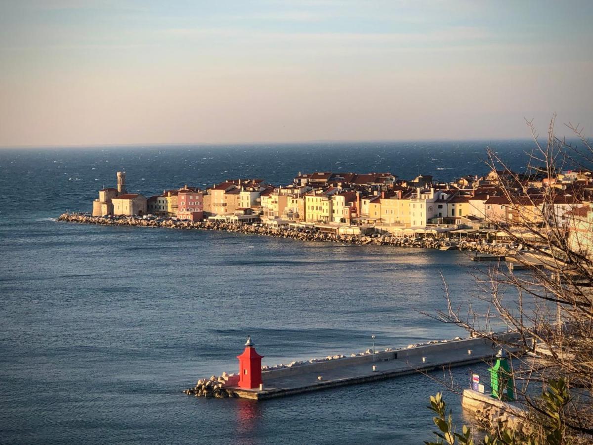 Apartment Modrin Piran Dış mekan fotoğraf