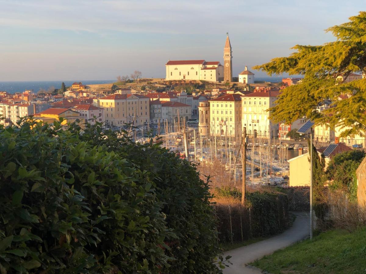 Apartment Modrin Piran Dış mekan fotoğraf
