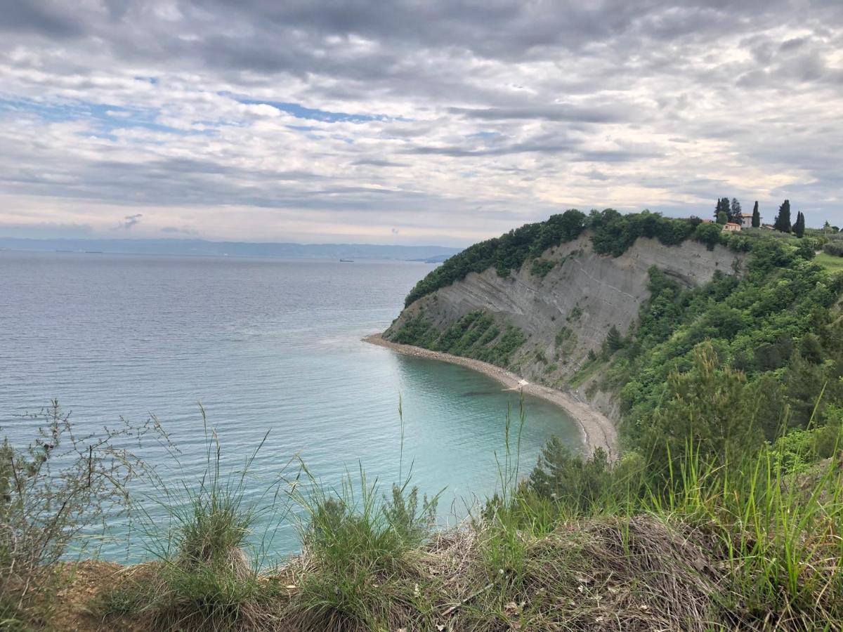 Apartment Modrin Piran Dış mekan fotoğraf